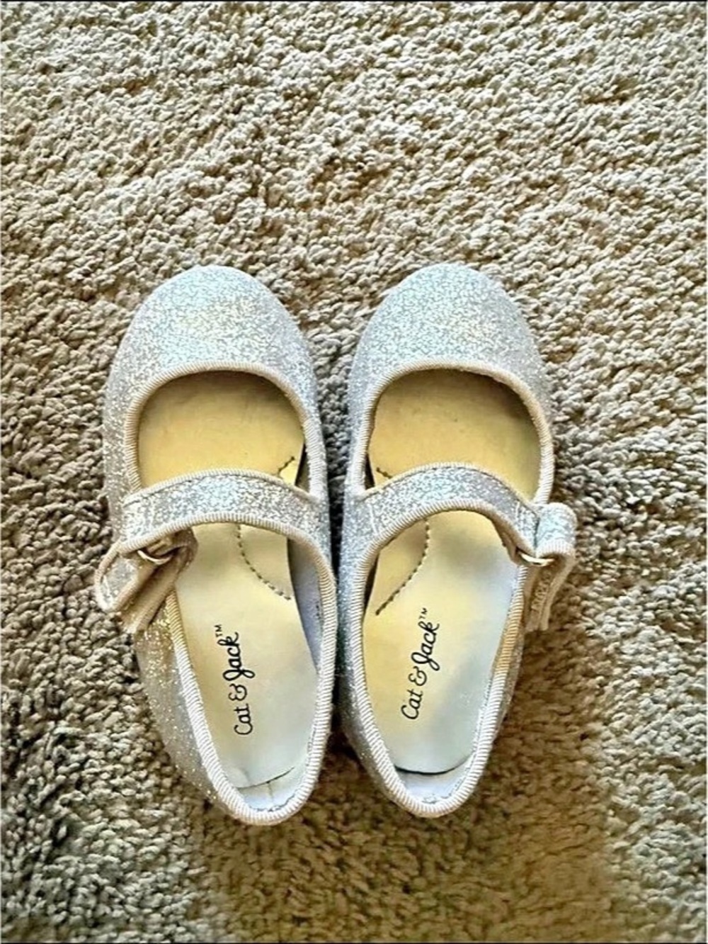 Cat & Jack Toddler Girls Silver Glitter Mary Jane Flats